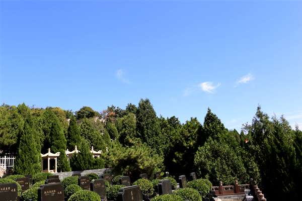 温泉墓园景色